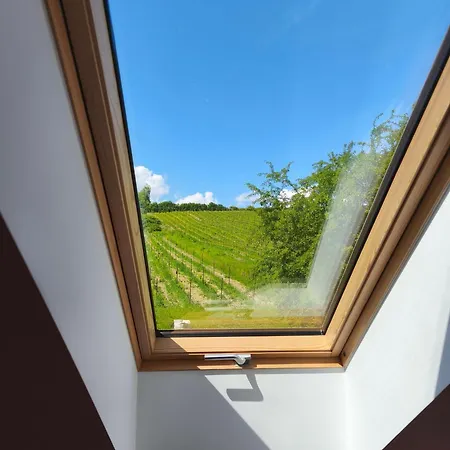 Winnica Kosmos Agroturismo *