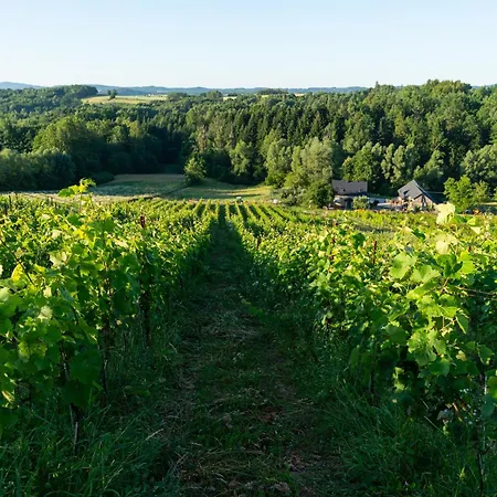 Farmház Winnica Kosmos