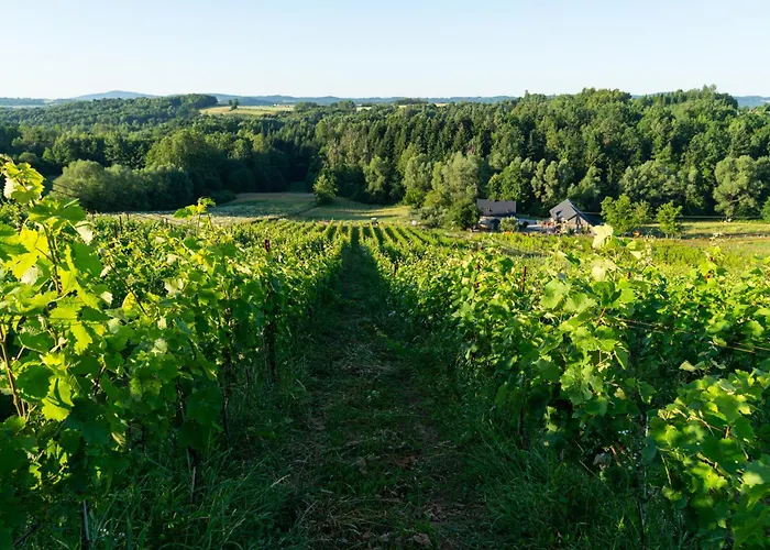 Vakantieboerderij Winnica Kosmos